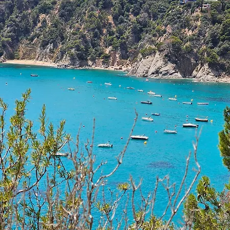 Appartement Unparalleled Sea View