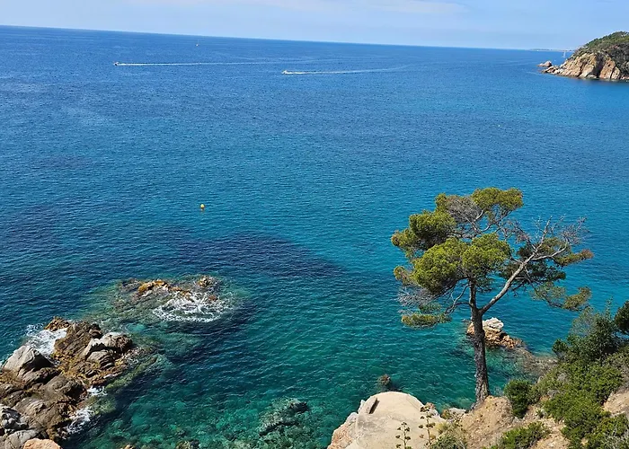 Apartment Unparalleled Sea View Tossa de Mar